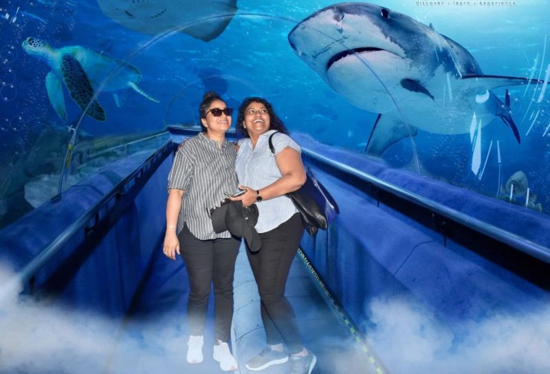 The Art of Letting Go: A Path to Growth, Balance, and Legacy